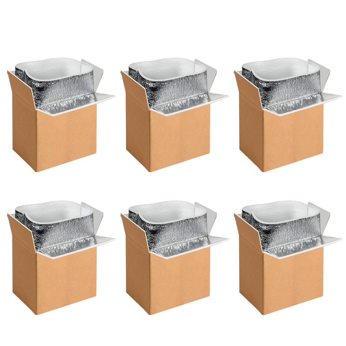 YSSOA Thermo Chill Double Insulated Carton with Foil Insulated Bag Liner, Small Mailing Box, Shipping Box for Mailing, Shipping, Packing, Moving,Box Inside Dimension