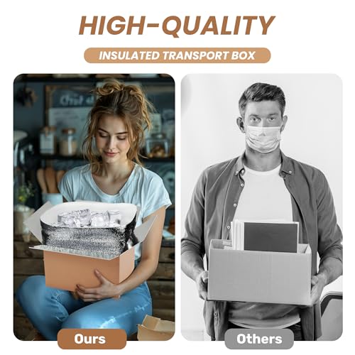 YSSOA Thermo Chill Double Insulated Carton with Foil Insulated Bag Liner, Small Mailing Box, Shipping Box for Mailing, Shipping, Packing, Moving,Box Inside Dimension