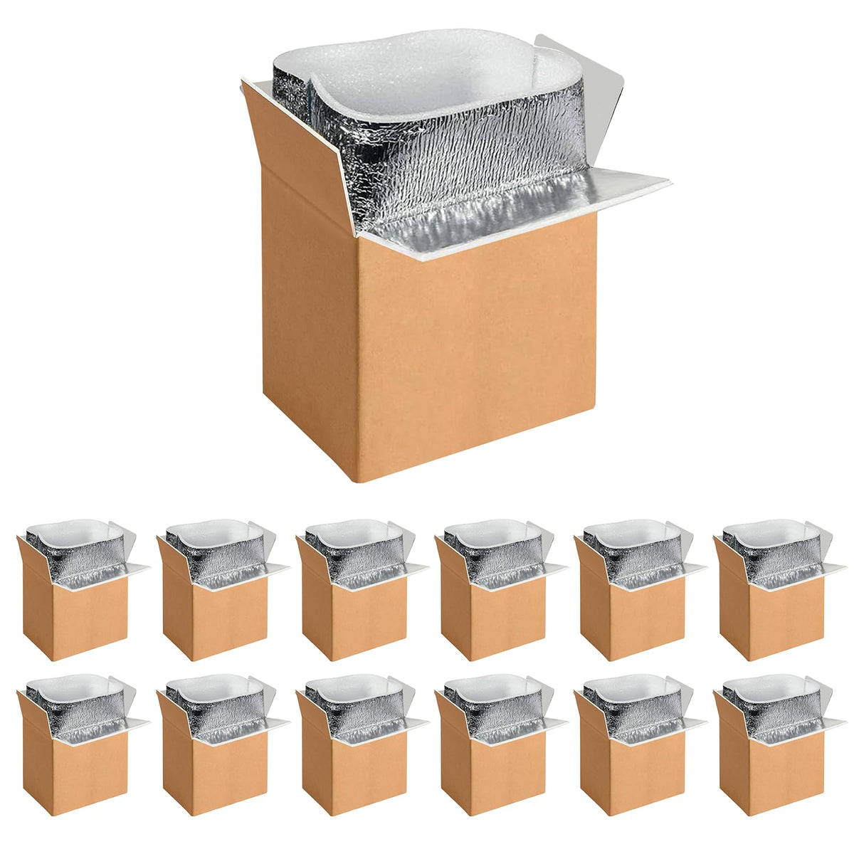 YSSOA Thermo Chill Double Insulated Carton with Foil Insulated Bag Liner, Small Mailing Box, Shipping Box for Mailing, Shipping, Packing, Moving,Box Inside Dimension