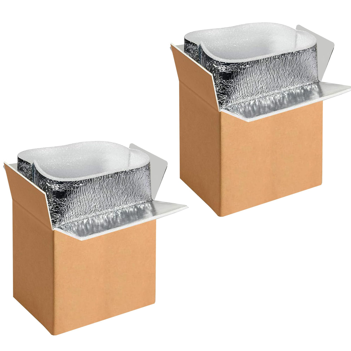YSSOA Thermo Chill Double Insulated Carton with Foil Insulated Bag Liner, Small Mailing Box, Shipping Box for Mailing, Shipping, Packing, Moving,Box Inside Dimension