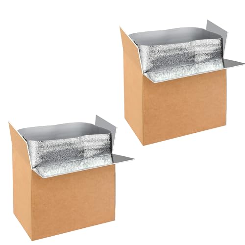 YSSOA Thermo Chill Double Insulated Carton with Foil Insulated Bag Liner, Small Mailing Box, Shipping Box for Mailing, Shipping, Packing, Moving,Box Inside Dimension